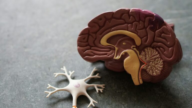 What Is a ‘Trapped Nerve’ Really?